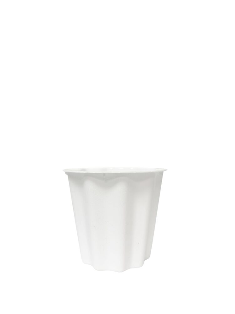 5.5 inch white bucket plastic pot