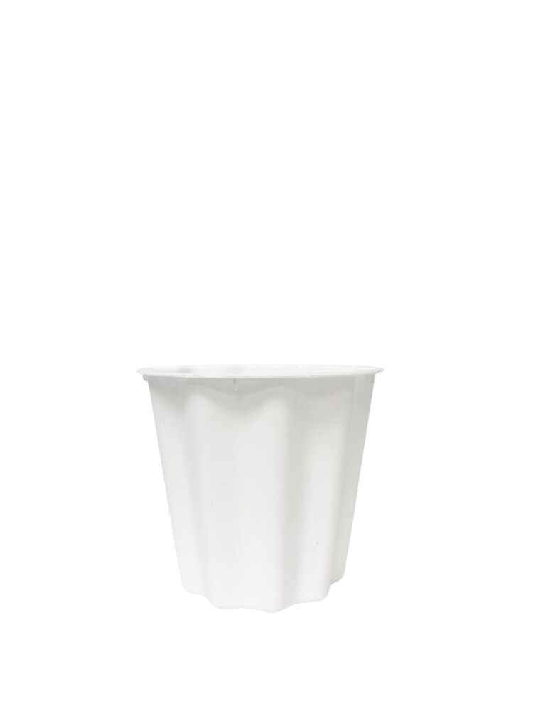 6 inch white bucket plastic pot