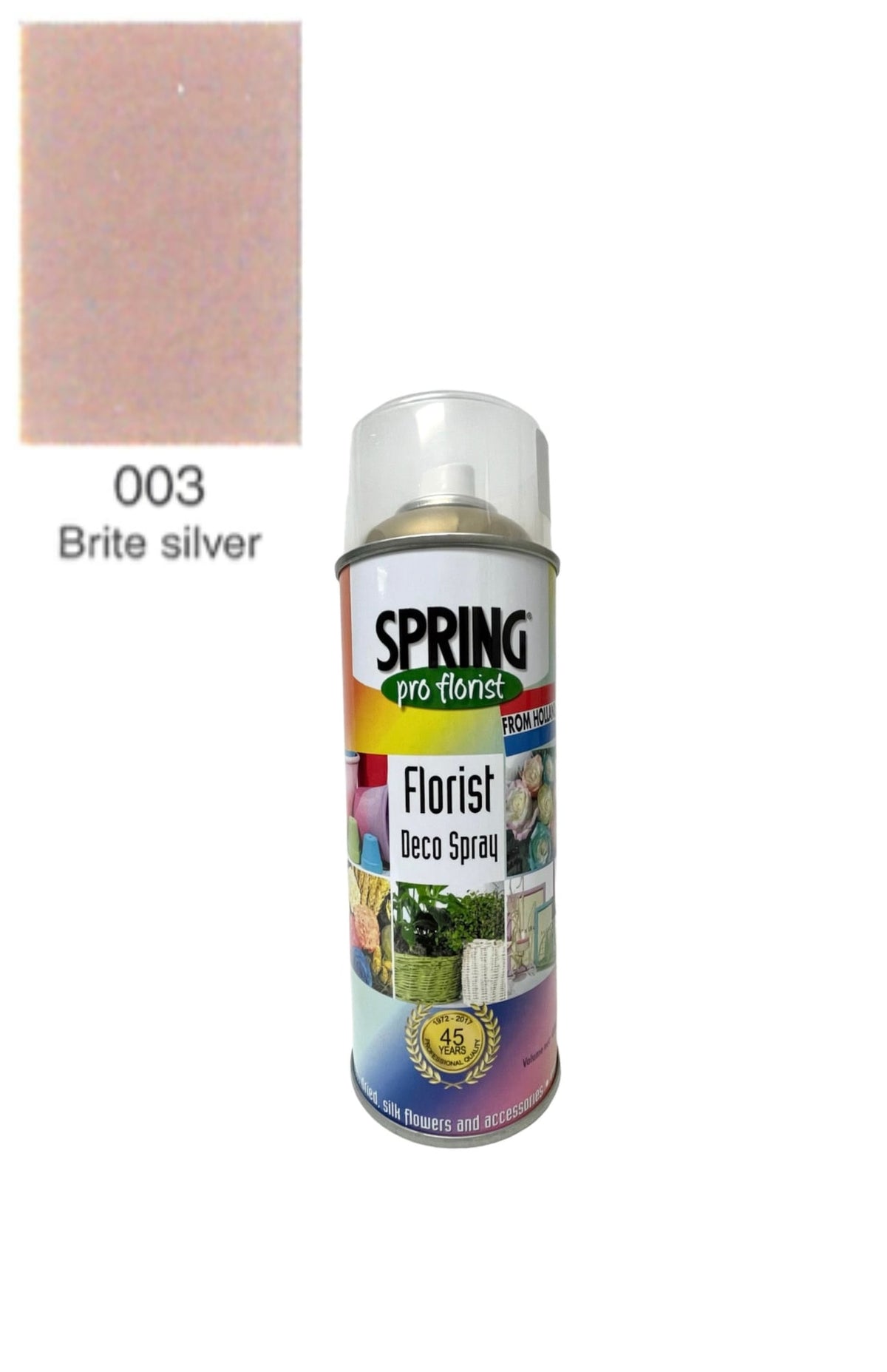 003 brite silver floral spray color can
